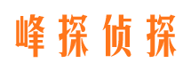 关岭侦探